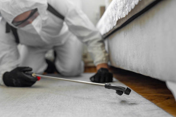 Professional Mosquito Control technician working in Ridgemark, CA