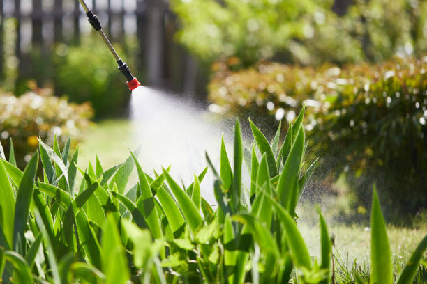 24/7 Emergency Mosquito Control experts in Ridgemark, CA